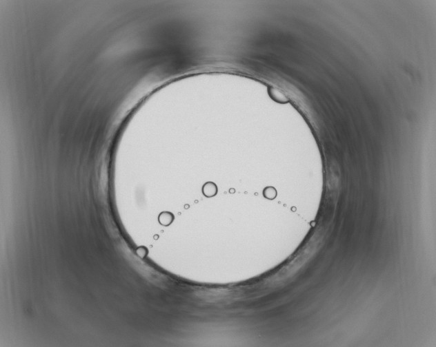 X0000114241054200911061544