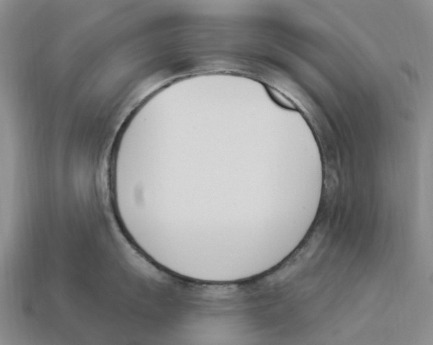 X0000114241055200911061544