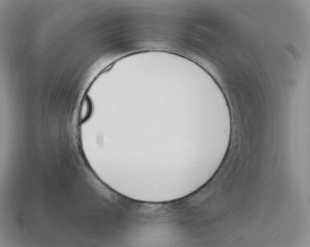 X0000114241056200911061544