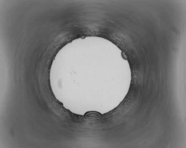 X0000114241057200911061543