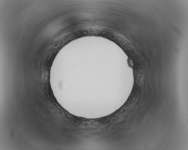 X0000114241061200911061543