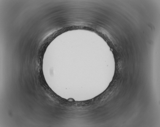 X0000114241064200911061543