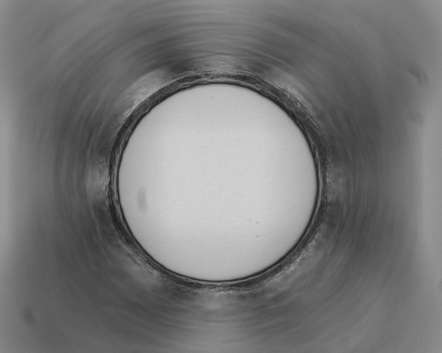 X0000114241065200911061543