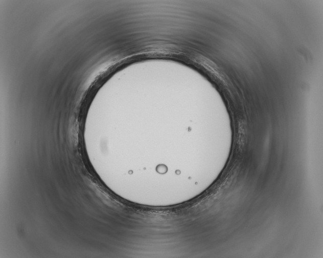 X0000114241067200911061543