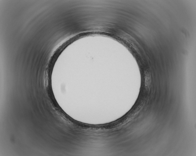 X0000114241069200911061543