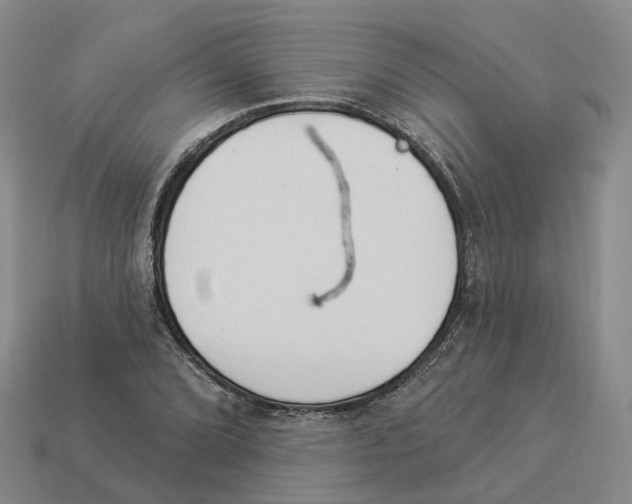 X0000114241072200911061543