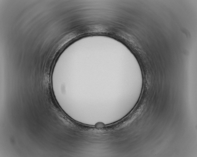 X0000114241073200911061543