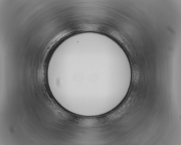 X0000114241074200911061543