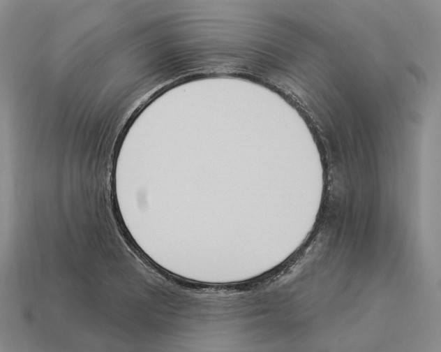 X0000114241081200911061543