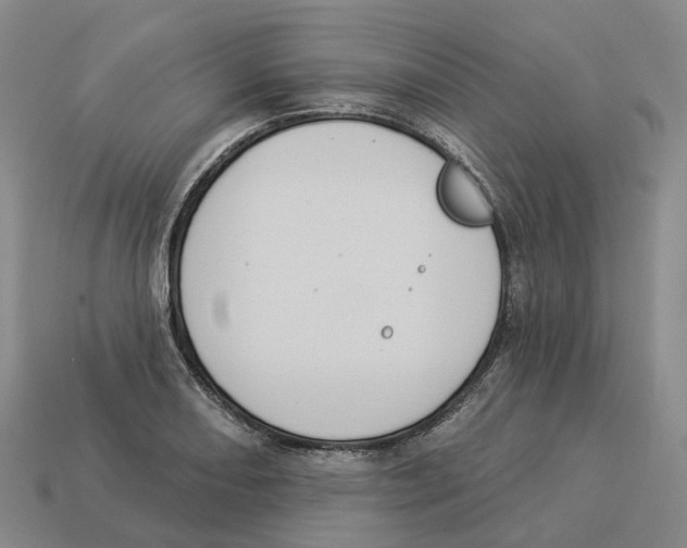 X0000114241082200911061543