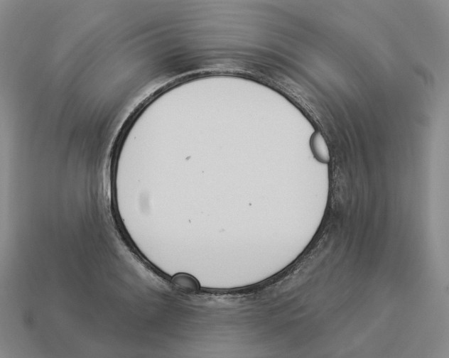 X0000114241084200911061543