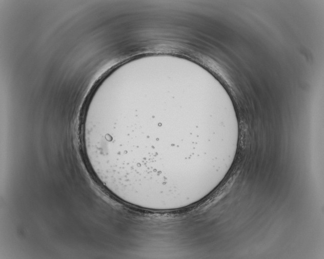X0000114241087200911061543