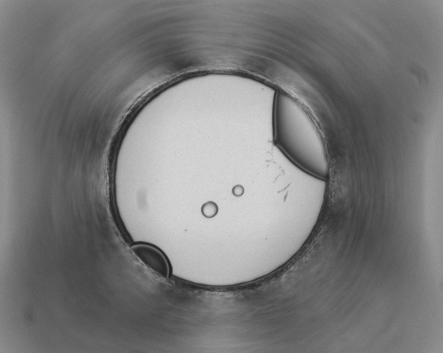 X0000114241088200911061543