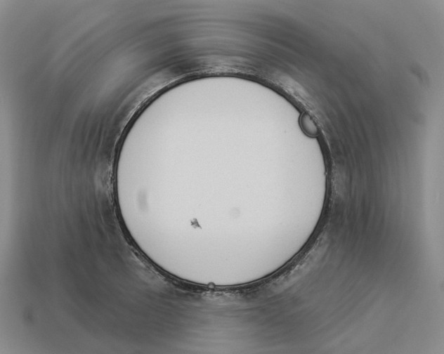 X0000114241089200911061543