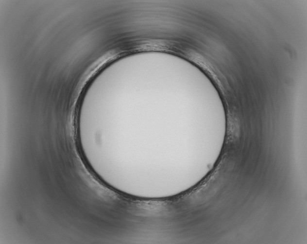 X0000114241090200911061543