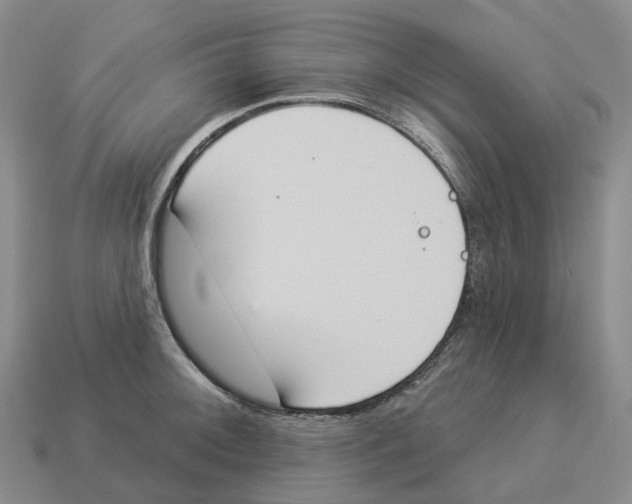 X0000114241092200911061543