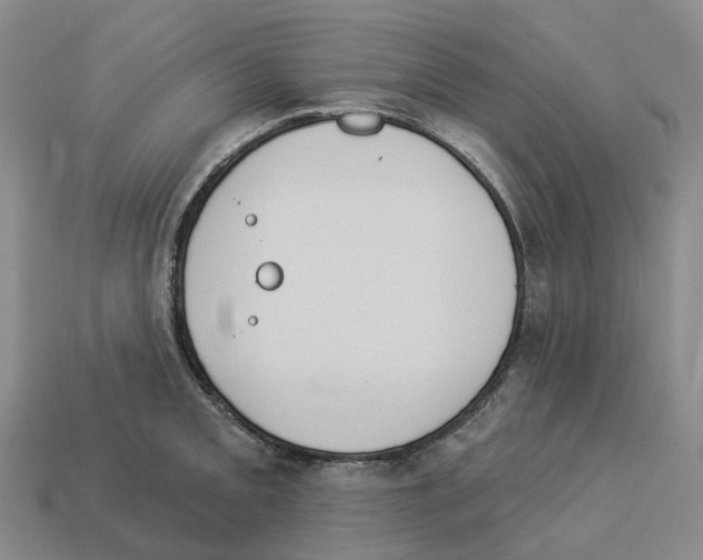 X0000114241093200911061543