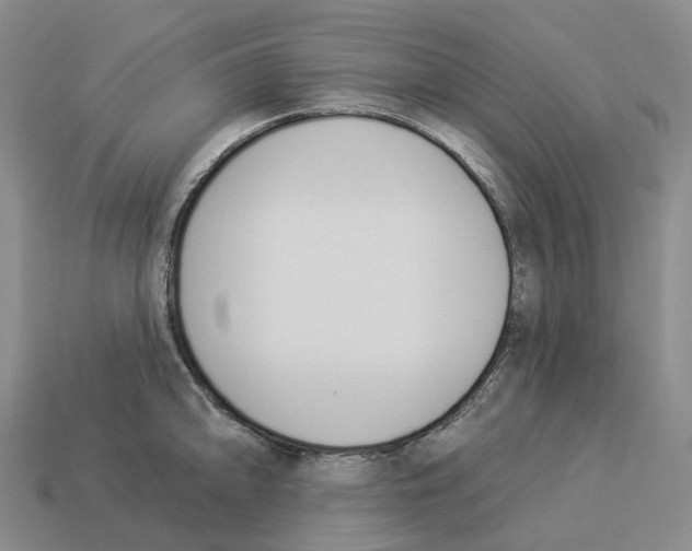 X0000114241094200911061543