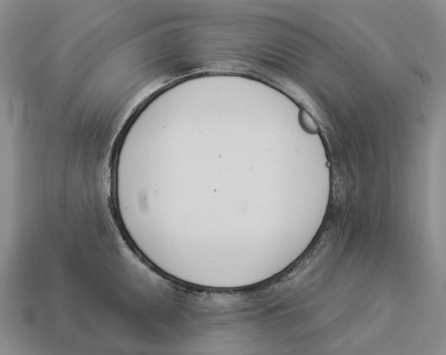 X0000114241095200911061543