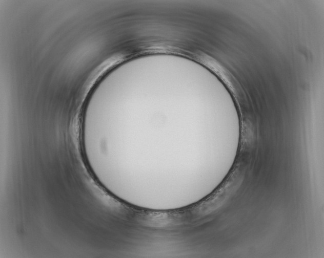 X0000114241098200911061543