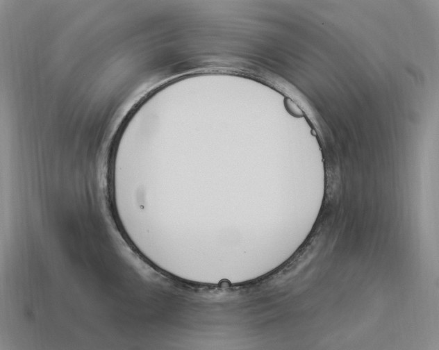 X0000114241099200911061543