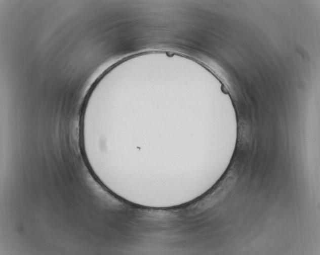 X0000114241100200911061543