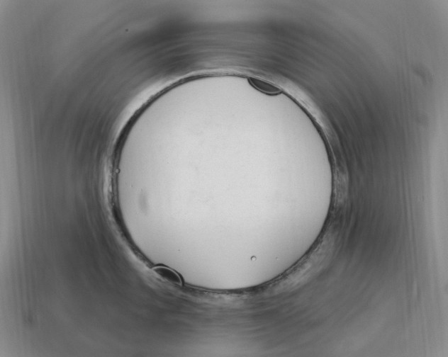 X0000114241101200911061543