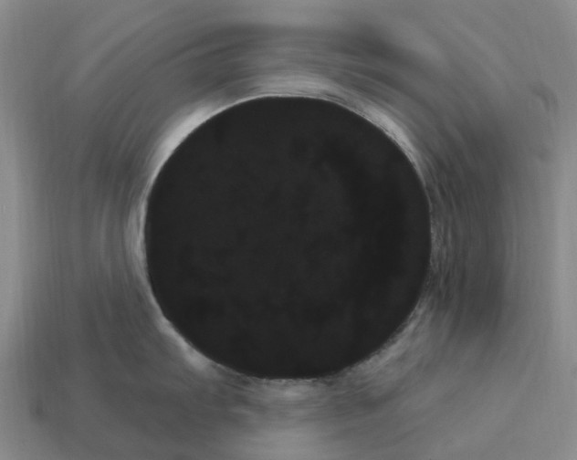 X0000114241103200911061543