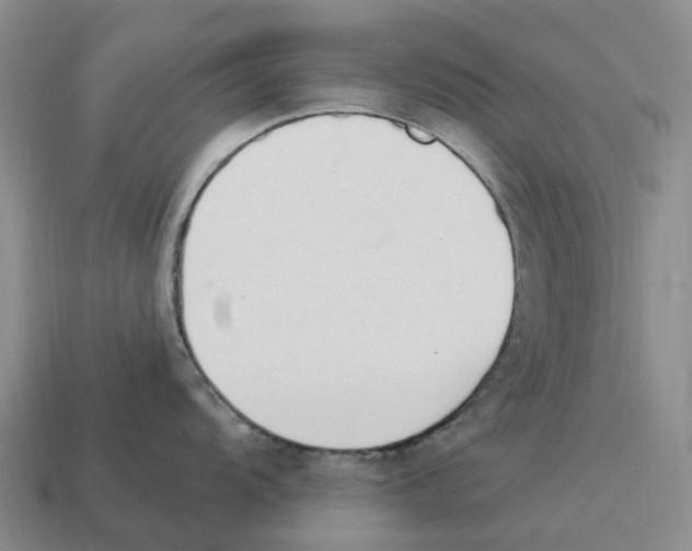 X0000114241104200911061543