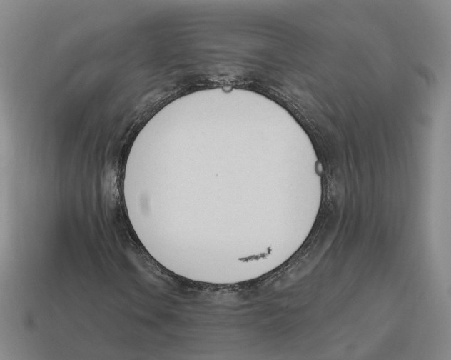 X0000114241106200911061542