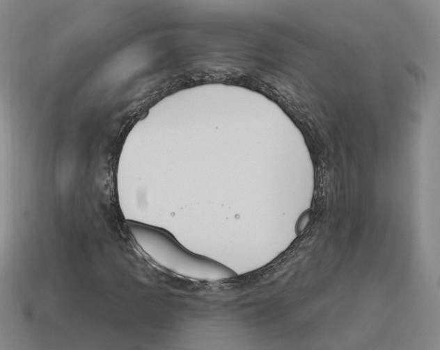 X0000114241109200911061542