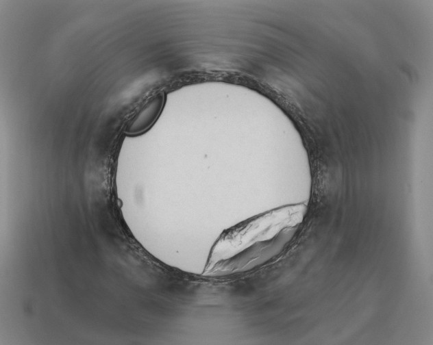 X0000114241110200911061542