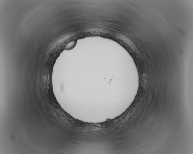 X0000114241111200911061542