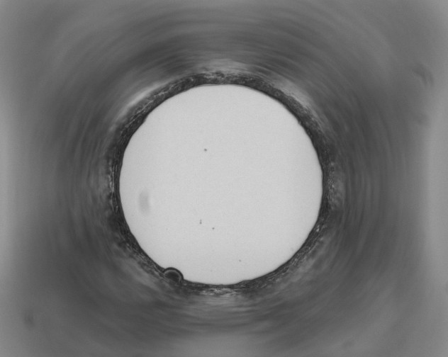 X0000114241112200911061542
