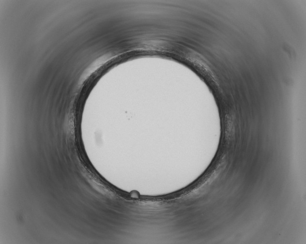 X0000114241114200911061542
