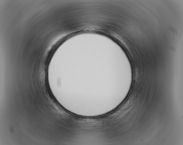 X0000114241115200911061542