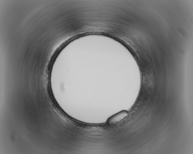 X0000114241119200911061542
