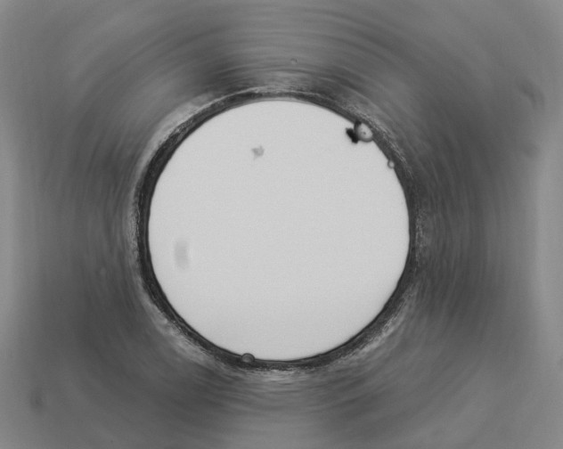 X0000114241122200911061542