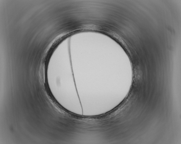 X0000114241123200911061542