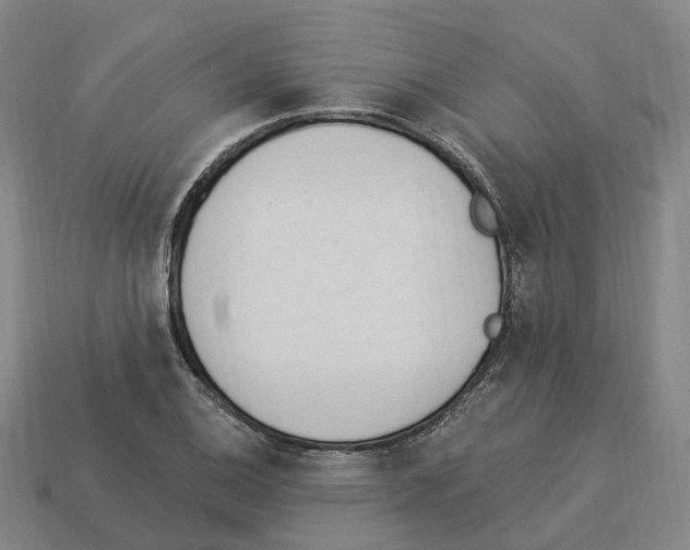 X0000114241124200911061542