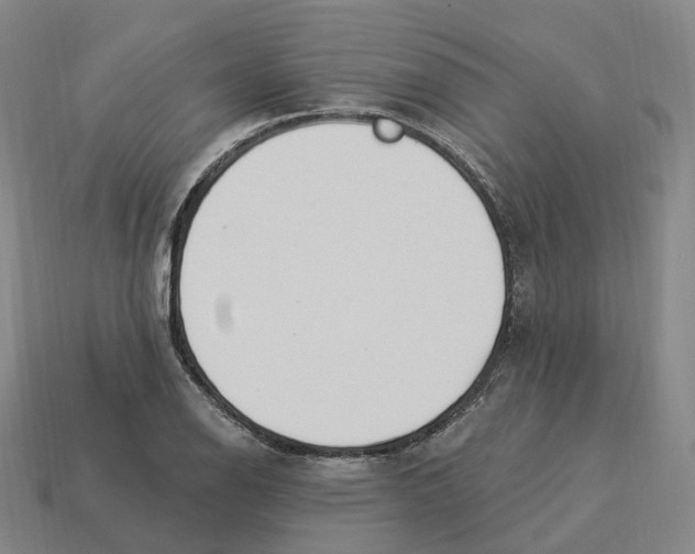 X0000114241126200911061542