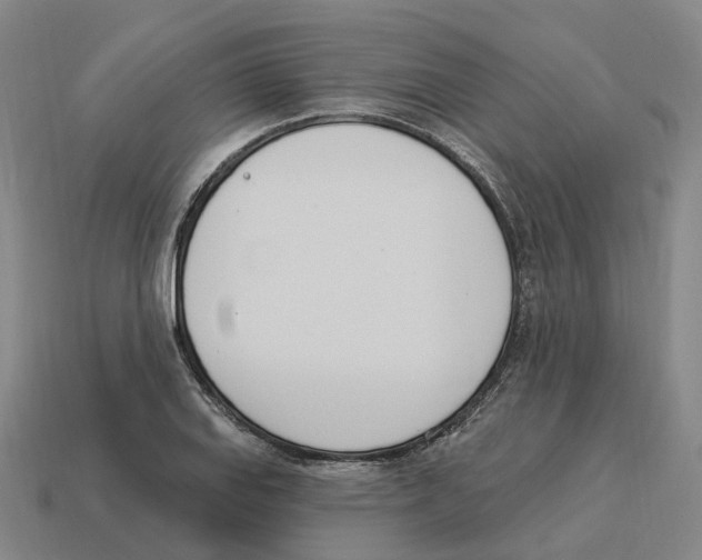 X0000114241127200911061542