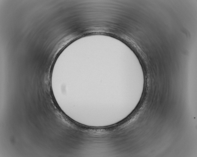 X0000114241129200911061542
