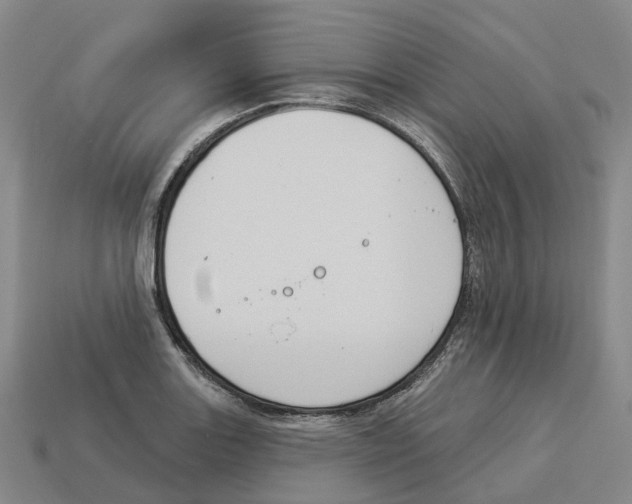 X0000114241131200911061542