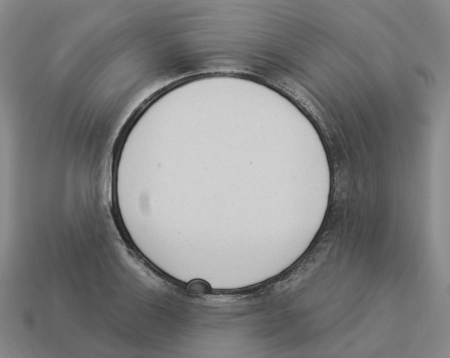 X0000114241132200911061542