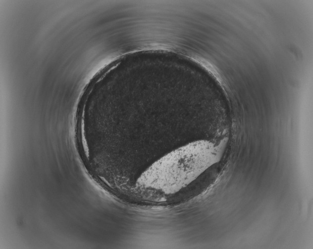 X0000114241135200911061542
