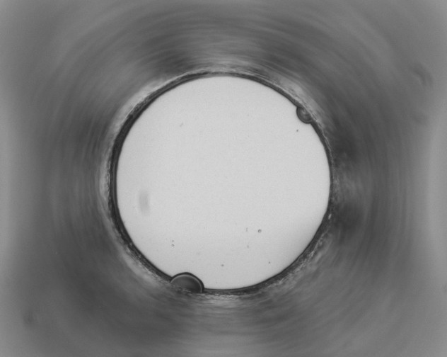 X0000114241136200911061542