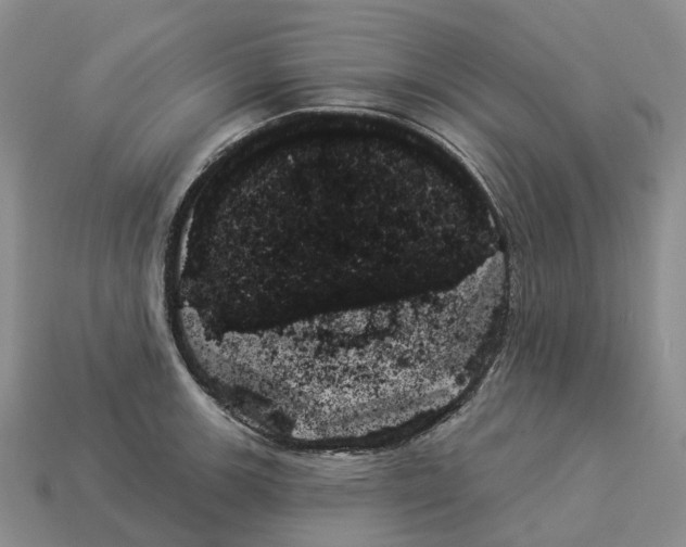 X0000114241139200911061542
