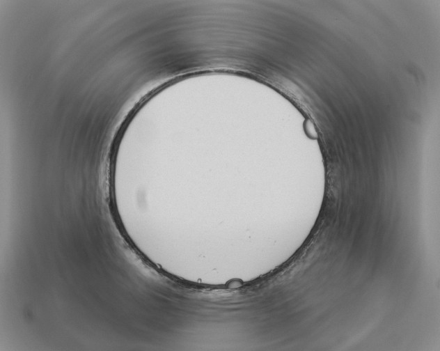 X0000114241140200911061543