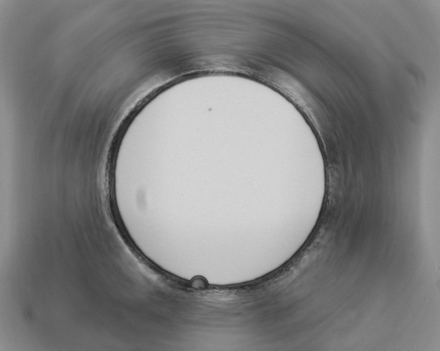 X0000114241141200911061543